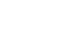 seguradora porto seguro